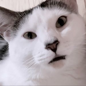 Meet your Posher, Ana